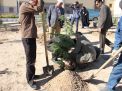 گزارش تصویری مراسم روز درخت کاری و تقدیر از نیروهای باغبانی دانشگاه